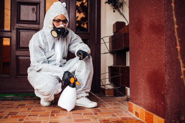 Reliable Cockroach Control contractor in Johnson, AR by Nex Pest Control